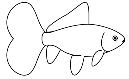 Bristol Shubunkin line drawing side view