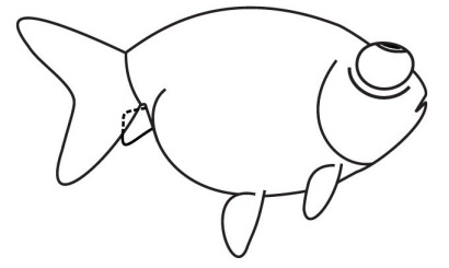 Celestial Goldfish line drawing side view