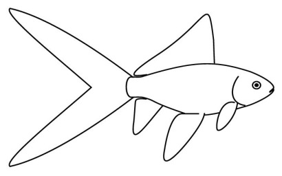 Comet Goldfish Care, Feeding, Diseases, Breeding and more