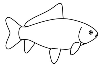 Common Goldfish line drawing side view