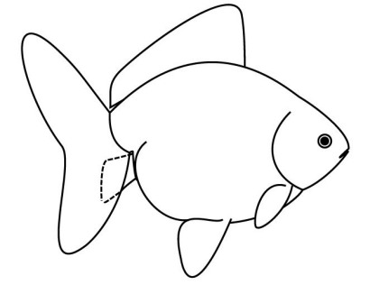 Fantail Goldfish line drawing side view