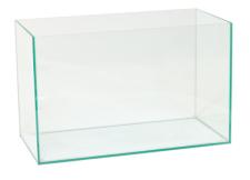 Plain glass aquarium with no accessories