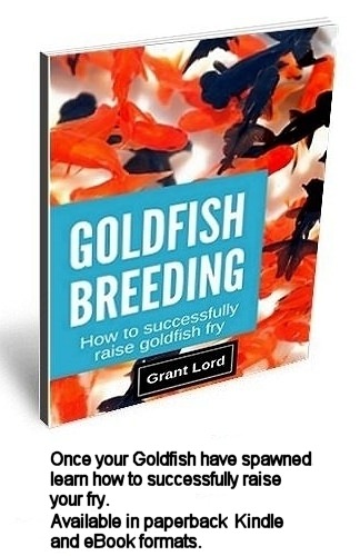 Goldfish Breeding Guide in eBook, Kindle and paperback formats.
