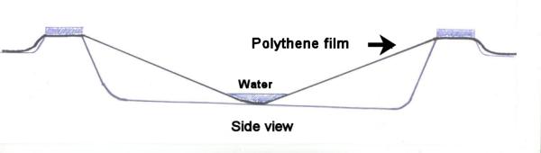 In-ground goldfish pond showing filling method for a polythene liner. In-ground goldfish pond showing filling method for a polythene liner.
