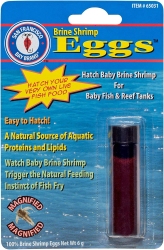 San Francisco Brine Shrimp Eggs