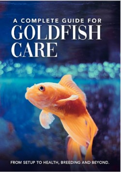 Goldfish Kindle book by author unknown