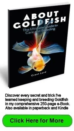 The Ultimate Guide to Care and Breeding available in e-book, paperback and Kindle formats.