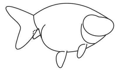 Water Bubble Eye Goldfish line drawing side view Water Bubble Eye Goldfish line drawing side view