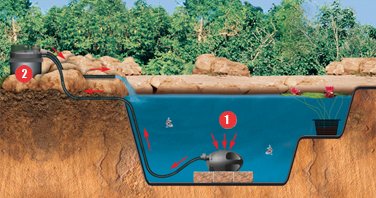 Typical Laguna external canister filter installation.