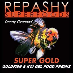 feeding goldfish live foods